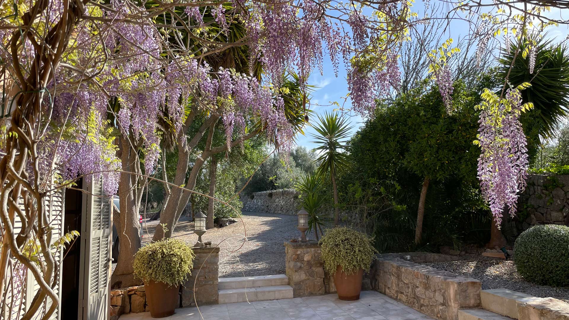 Luxus Finca Mallorca