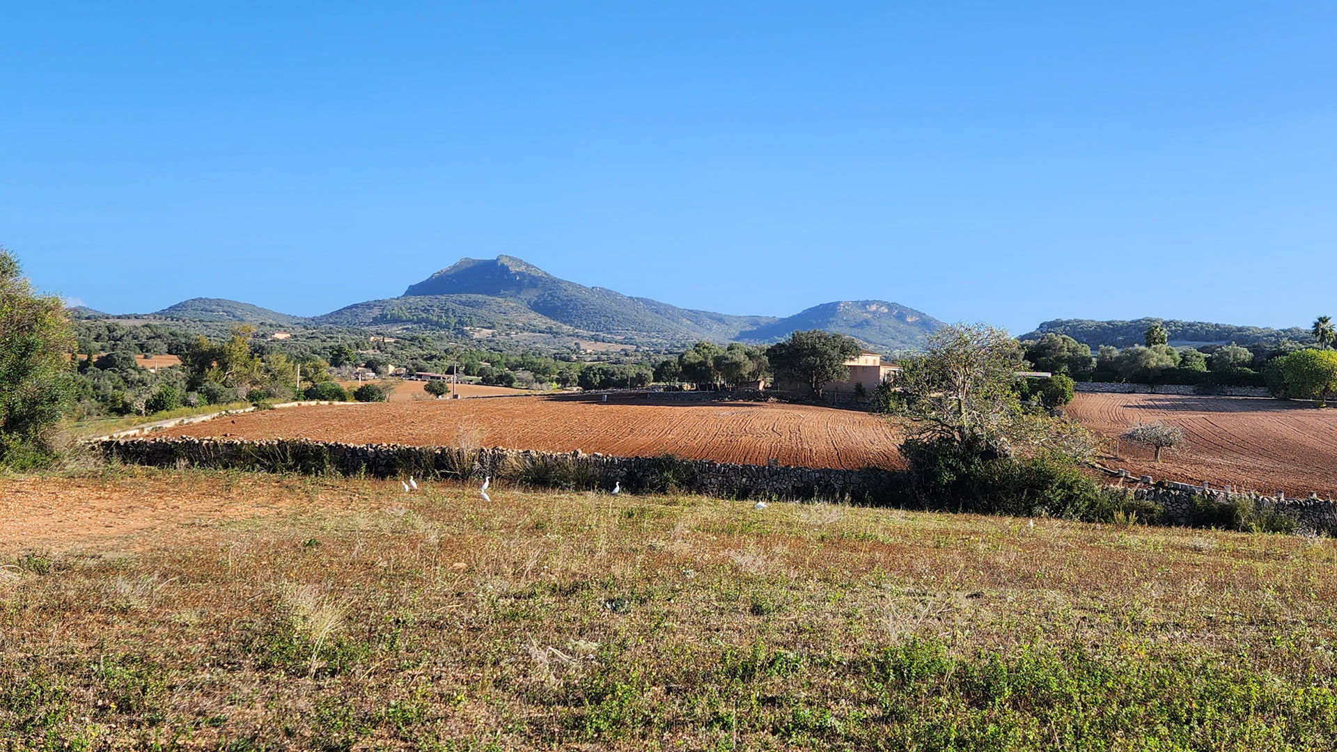 Luxus Finca Mallorca